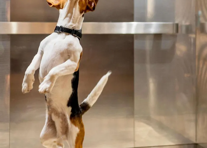 Ibis Lille Centre Grand Place